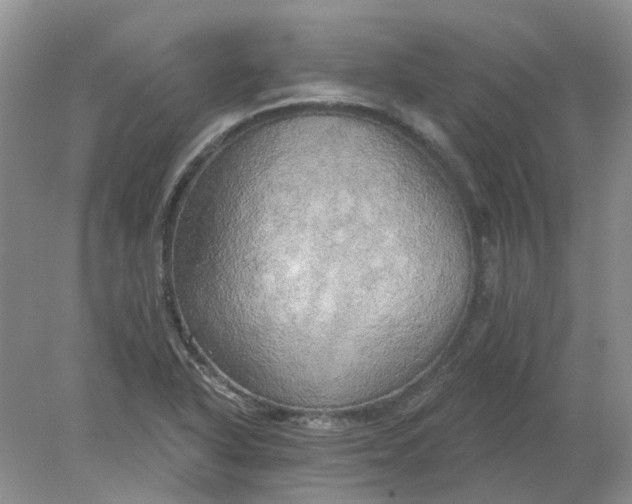 X0000078291318200611172112