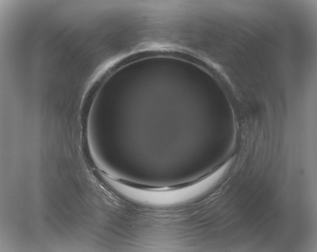 X0000078291319200611172112