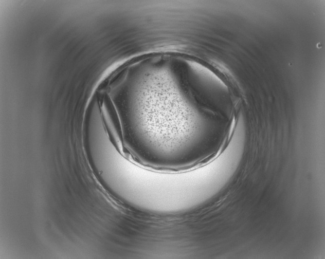 X0000078291324200611172112