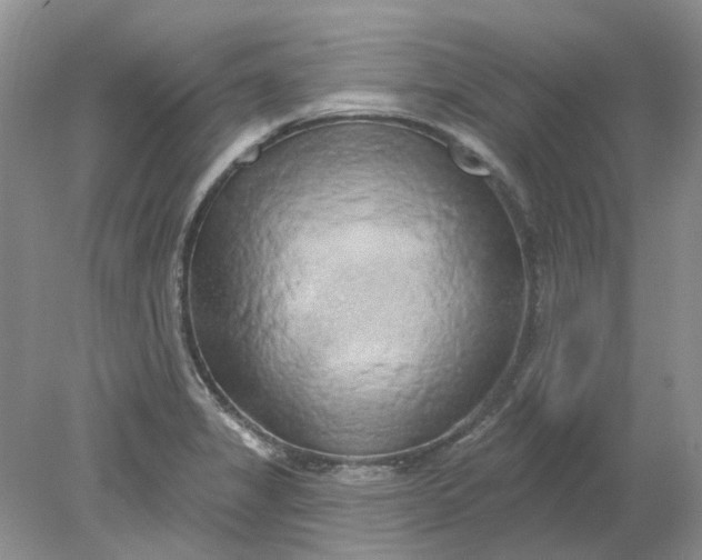 X0000078291325200611172112