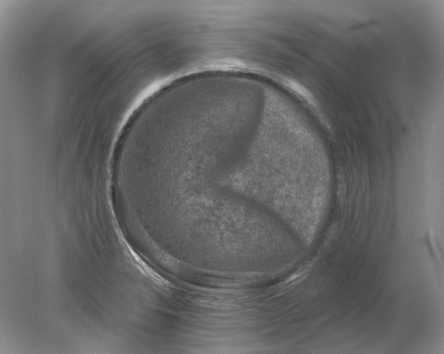 X0000078291326200611172112