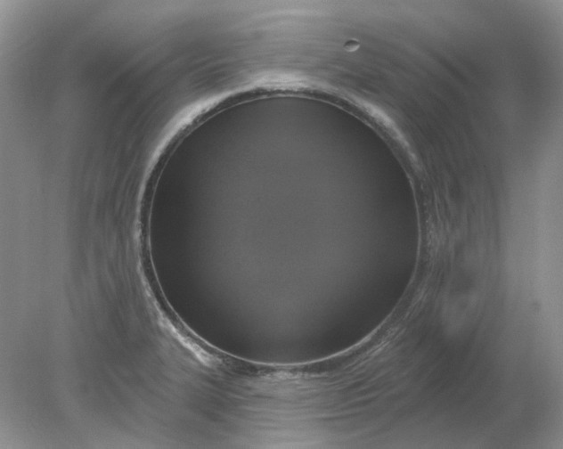 X0000078291327200611172112