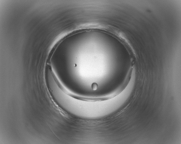 X0000078291328200611172112