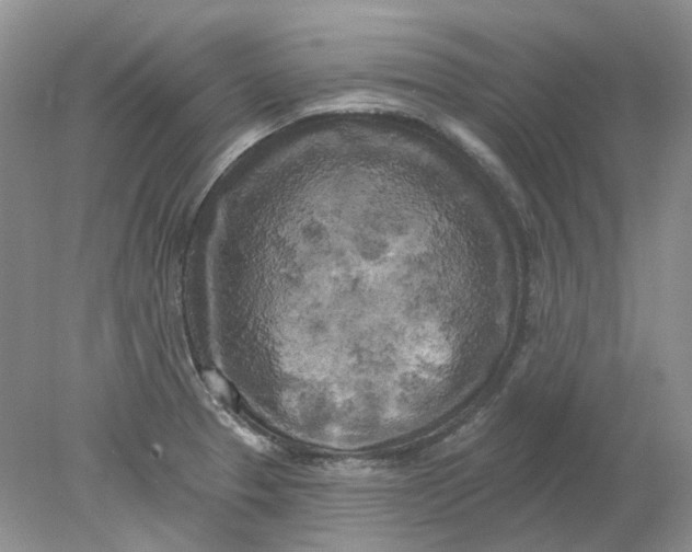 X0000078291329200611172112