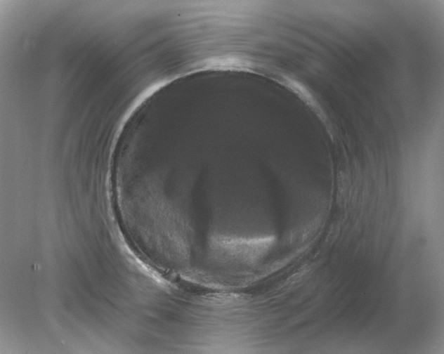 X0000078291331200611172112