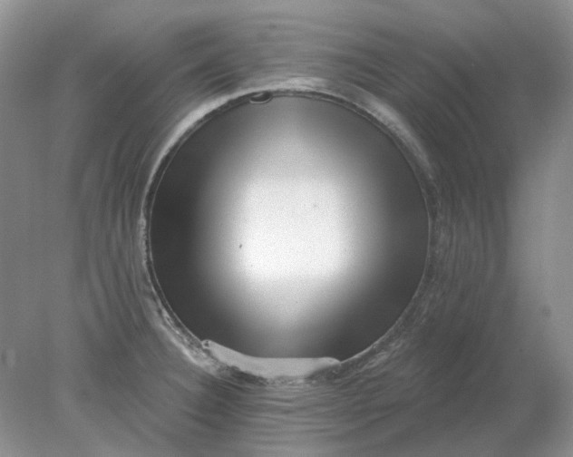 X0000078291332200611172112