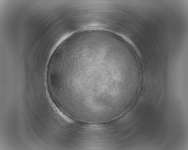 X0000078291333200611172112