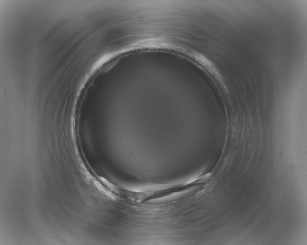 X0000078291334200611172112