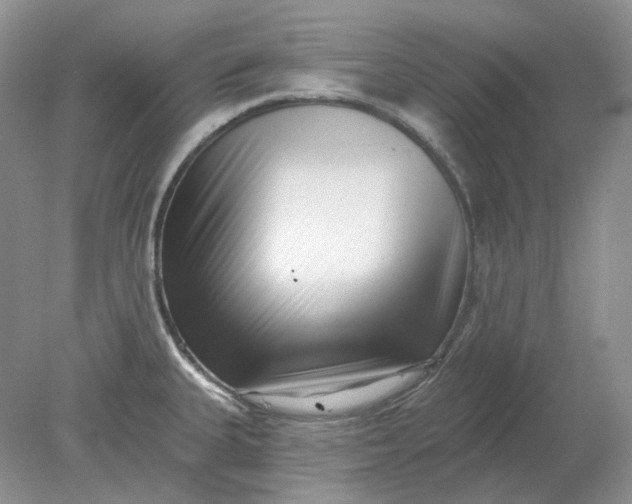 X0000078291335200611172112