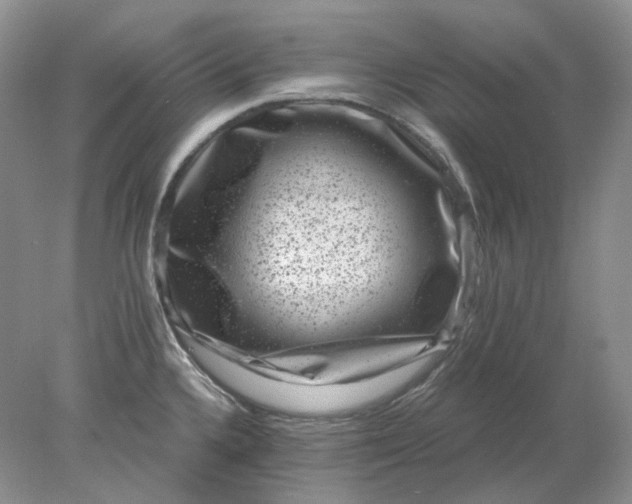 X0000078291336200611172112