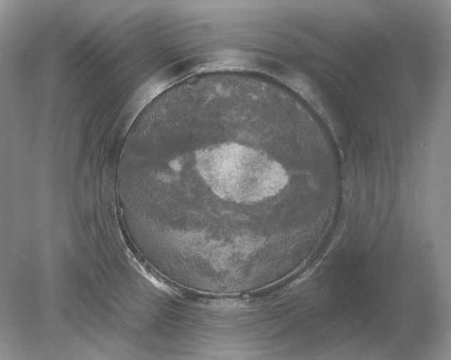 X0000078291337200611172112