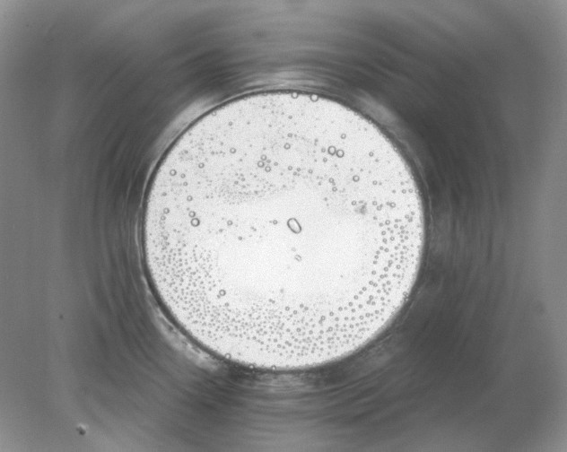 X0000078291338200611172112