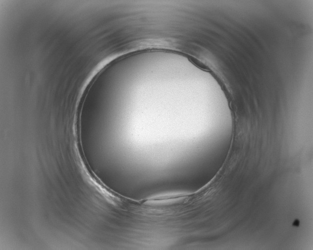 X0000078291339200611172112