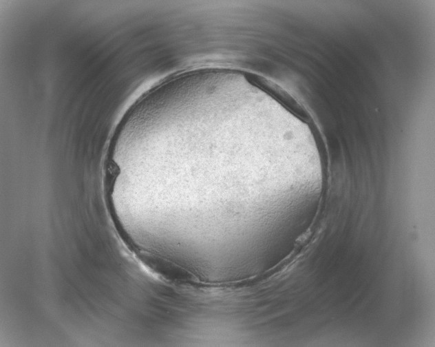 X0000078291341200611172112