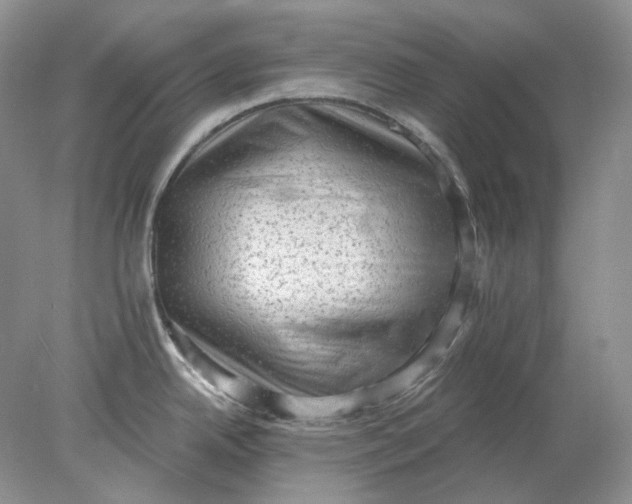 X0000078291342200611172112