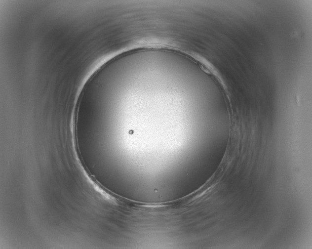 X0000078291343200611172112