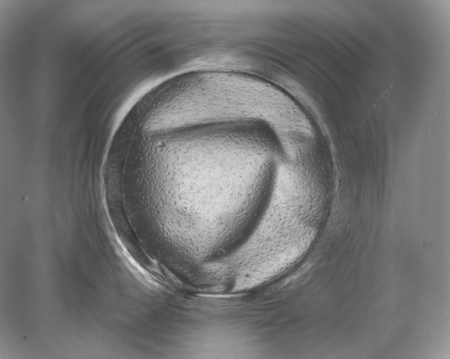 X0000078291344200611172112