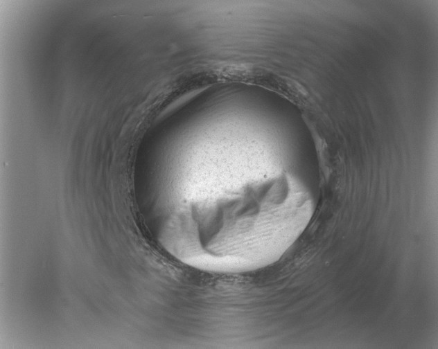 X0000078291345200611172112