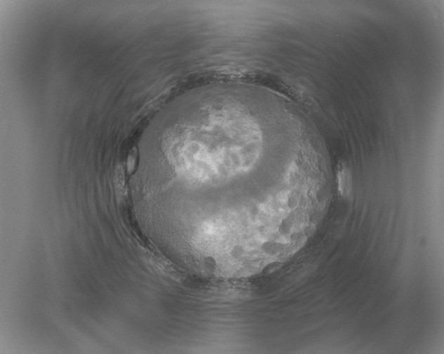 X0000078291347200611172112