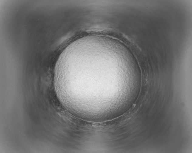 X0000078291350200611172111