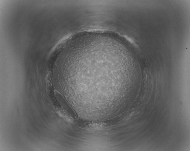 X0000078291351200611172111