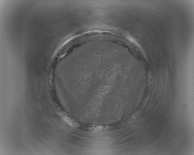 X0000078291352200611172111