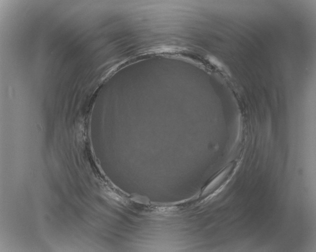 X0000078291353200611172111