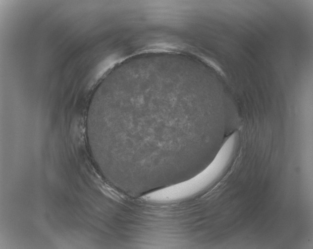 X0000078291355200611172111