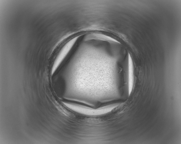 X0000078291356200611172111