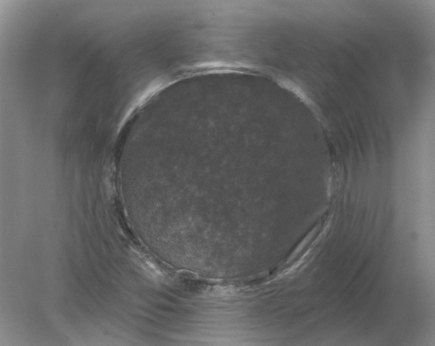 X0000078291357200611172111