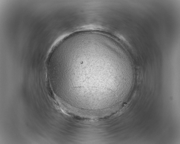 X0000078291358200611172111