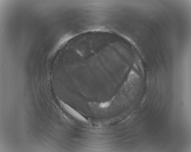 X0000078291359200611172111