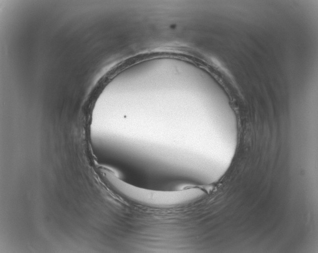 X0000078291360200611172111