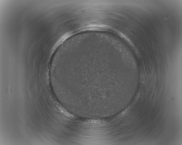 X0000078291362200611172111