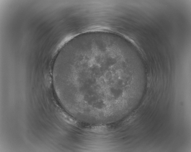 X0000078291363200611172111