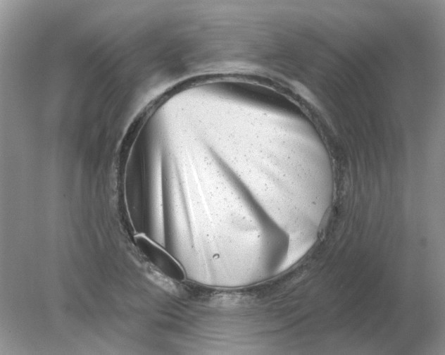 X0000078291364200611172111