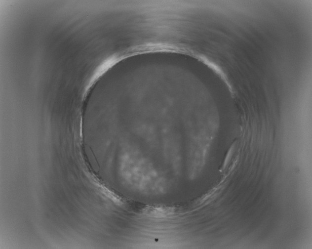 X0000078291365200611172111