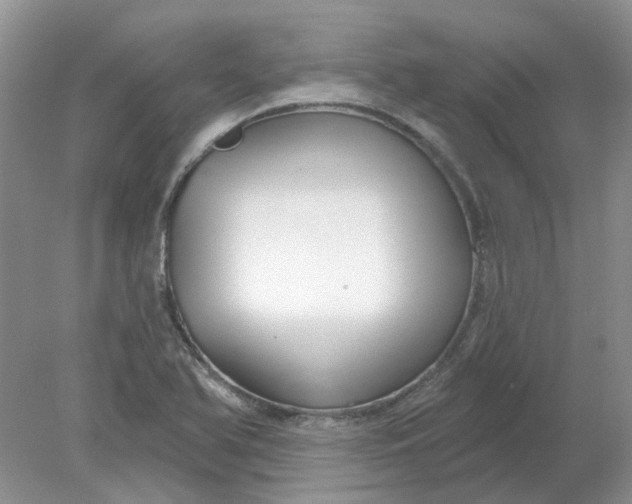 X0000078291366200611172111