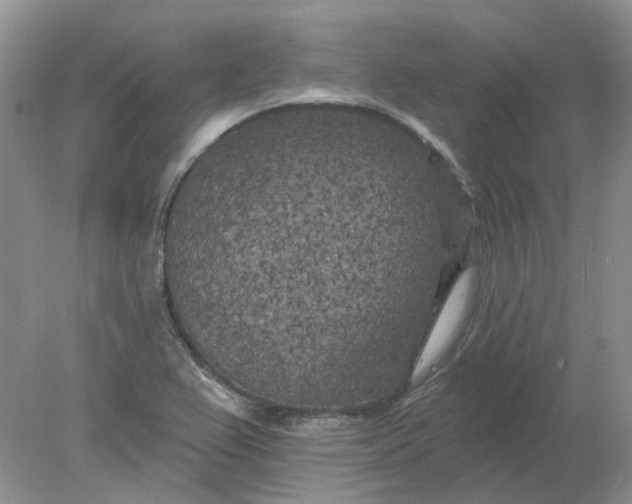 X0000078291367200611172111