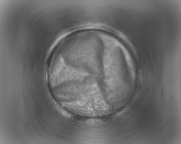 X0000078291368200611172111