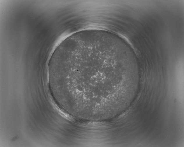 X0000078291371200611172111