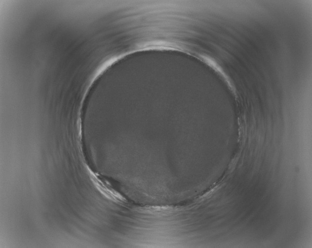 X0000078291372200611172111