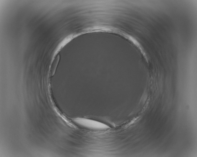 X0000078291373200611172111