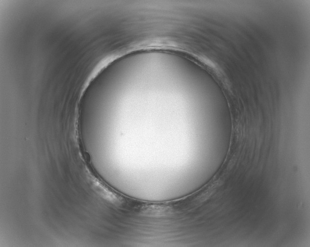 X0000078291374200611172111