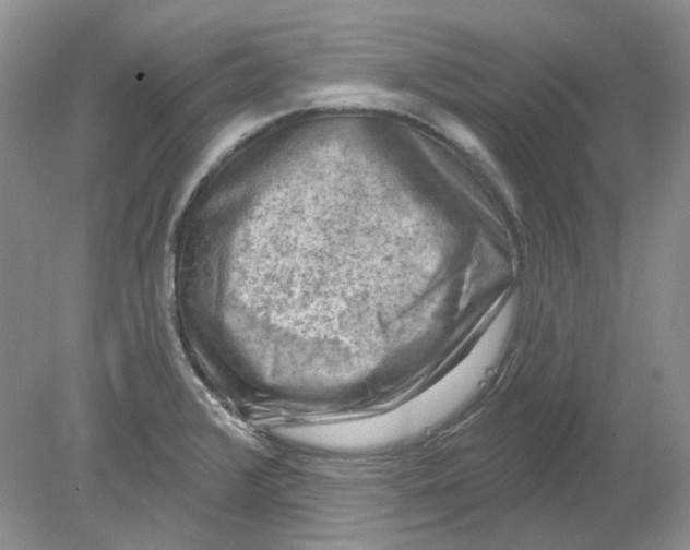 X0000078291376200611172111