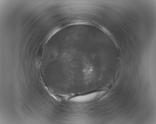 X0000078291377200611172111