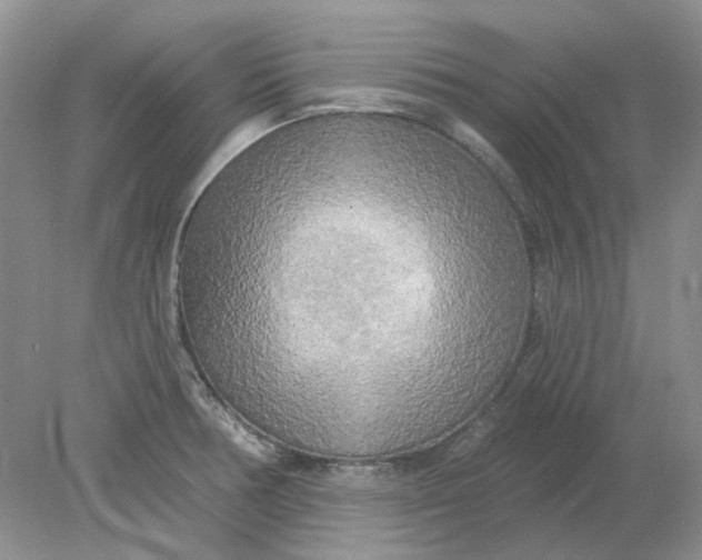 X0000078291378200611172111