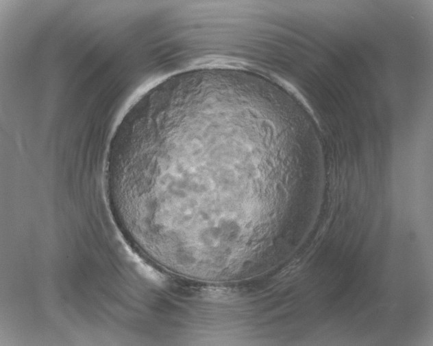 X0000078291379200611172111