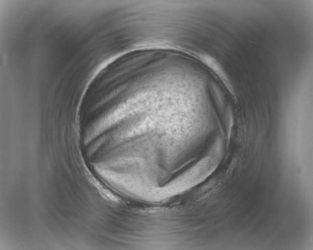 X0000078291380200611172111