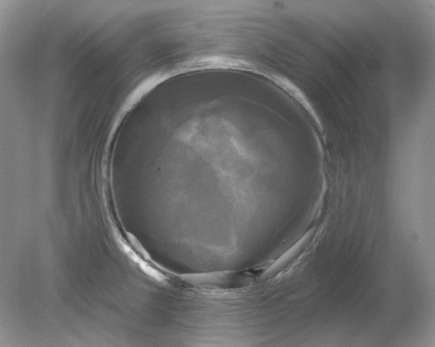 X0000078291381200611172111